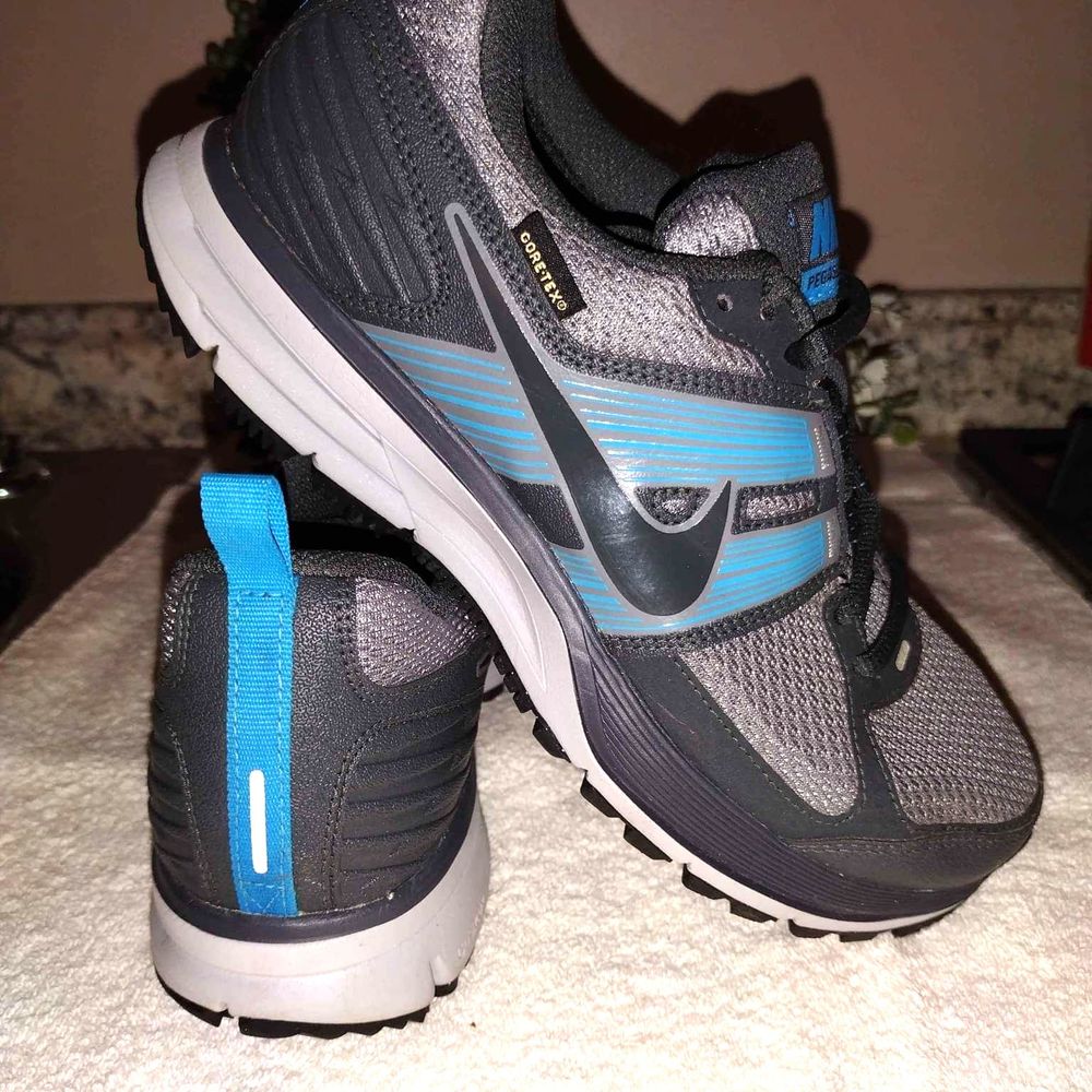 Nike Air Pegasus 29 GTX